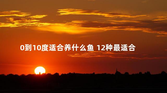 0到10度适合养什么鱼 12种最适合懒人养的冷水鱼